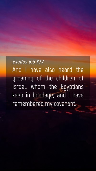 Picture 04 - Exodus 6:5 KJV Mobile Phone Wallpaper - And I have also heard the groaning of the - Mobile Bible Verse Wallpaper