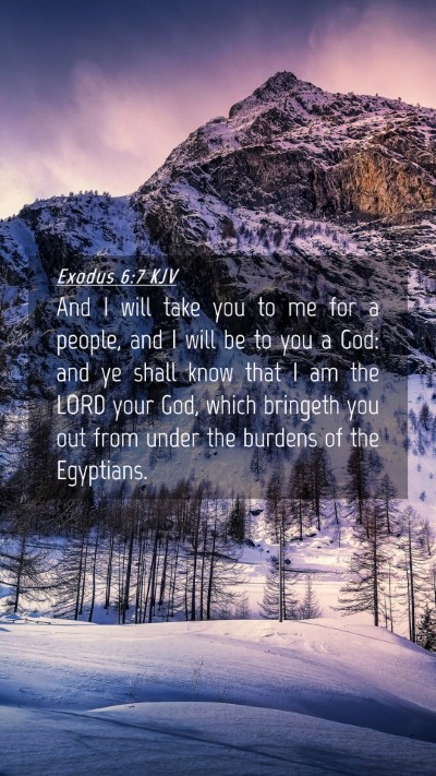 Picture 04 - Exodus 6:7 KJV Mobile Phone Wallpaper - And I will take you to me for a people, and I - Mobile Bible Verse Wallpaper