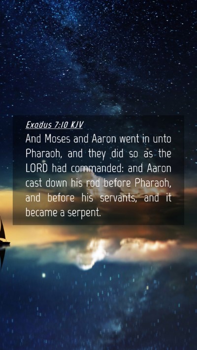 Picture 04 - Exodus 7:10 KJV Mobile Phone Wallpaper - And Moses and Aaron went in unto Pharaoh, and - Mobile Bible Verse Wallpaper