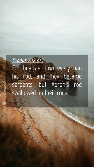 Picture 04 - Exodus 7:12 KJV Mobile Phone Wallpaper - For they cast down every man his rod, and they - Mobile Bible Verse Wallpaper