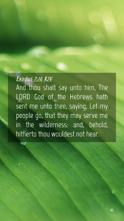 Picture 04 - Exodus 7:16 KJV Mobile Phone Wallpaper - And thou shalt say unto him, The LORD God of the - Mobile Bible Verse Wallpaper