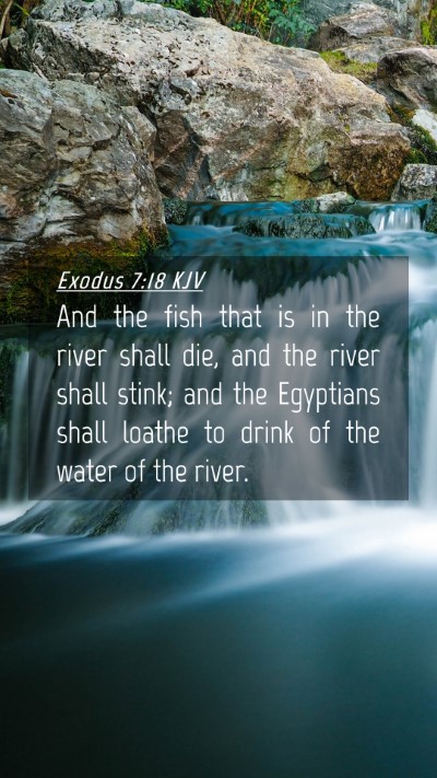 Picture 04 - Exodus 7:18 KJV Mobile Phone Wallpaper - And the fish that is in the river shall die, and - Mobile Bible Verse Wallpaper