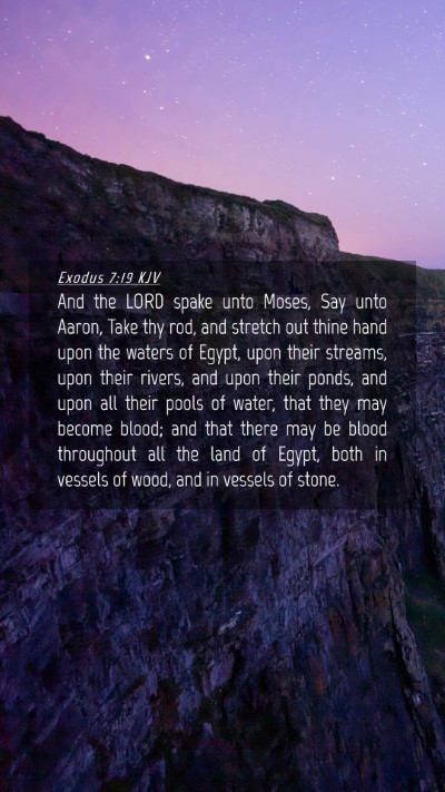 Picture 04 - Exodus 7:19 KJV Mobile Phone Wallpaper - And the LORD spake unto Moses, Say unto Aaron, - Mobile Bible Verse Wallpaper
