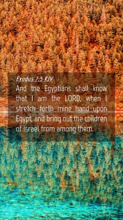 Picture 04 - Exodus 7:5 KJV Mobile Phone Wallpaper - And the Egyptians shall know that I am the LORD, - Mobile Bible Verse Wallpaper