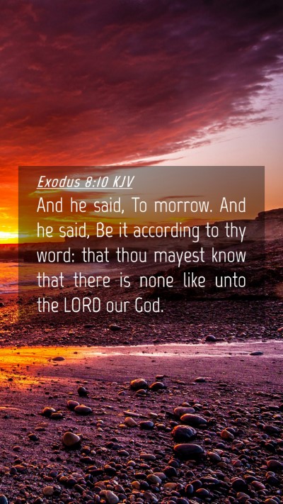 Picture 04 - Exodus 8:10 KJV Mobile Phone Wallpaper - And he said, To morrow. And he said, Be it - Mobile Bible Verse Wallpaper