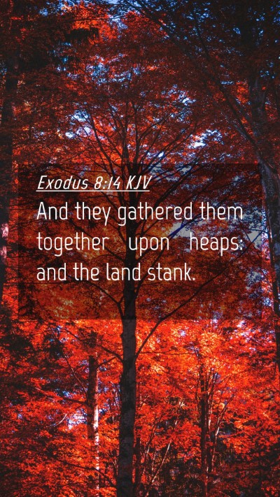 Picture 04 - Exodus 8:14 KJV Mobile Phone Wallpaper - And they gathered them together upon heaps: and - Mobile Bible Verse Wallpaper
