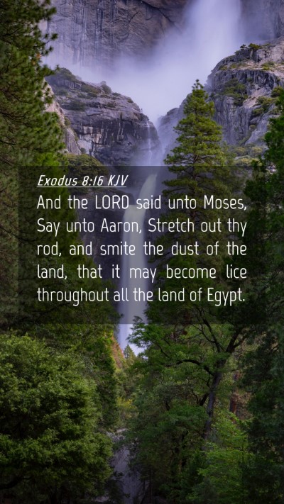 Picture 04 - Exodus 8:16 KJV Mobile Phone Wallpaper - And the LORD said unto Moses, Say unto Aaron, - Mobile Bible Verse Wallpaper