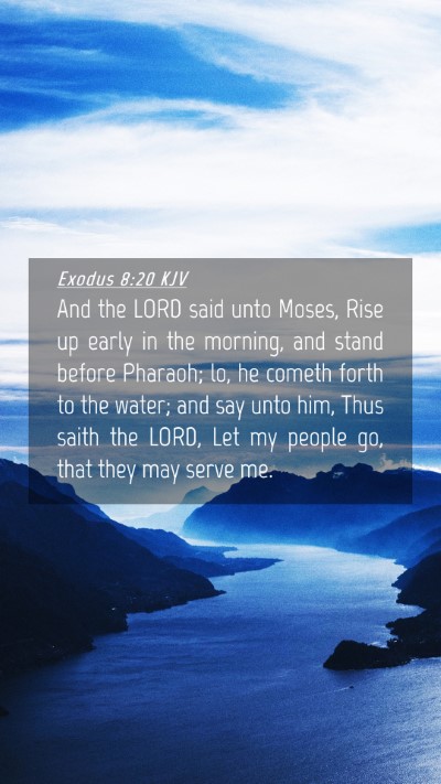Picture 04 - Exodus 8:20 KJV Mobile Phone Wallpaper - And the LORD said unto Moses, Rise up early in - Mobile Bible Verse Wallpaper