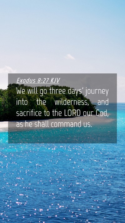 Picture 04 - Exodus 8:27 KJV Mobile Phone Wallpaper - We will go three days' journey into the - Mobile Bible Verse Wallpaper