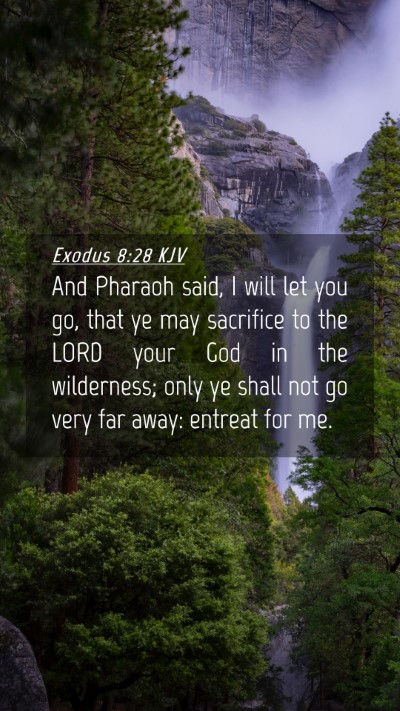 Picture 04 - Exodus 8:28 KJV Mobile Phone Wallpaper - And Pharaoh said, I will let you go, that ye may - Mobile Bible Verse Wallpaper