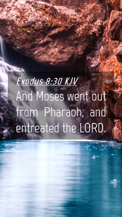 Picture 04 - Exodus 8:30 KJV Mobile Phone Wallpaper - And Moses went out from Pharaoh, and entreated - Mobile Bible Verse Wallpaper