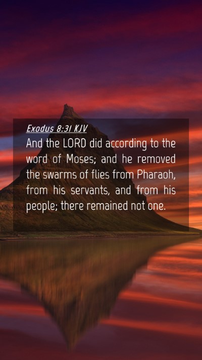 Picture 04 - Exodus 8:31 KJV Mobile Phone Wallpaper - And the LORD did according to the word of Moses; - Mobile Bible Verse Wallpaper