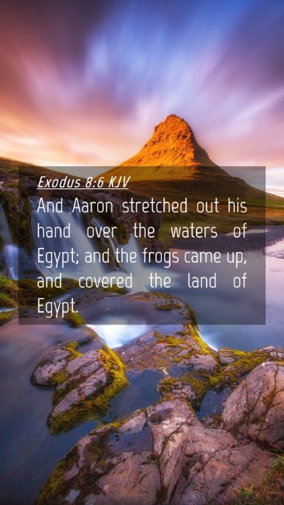 Picture 04 - Exodus 8:6 KJV Mobile Phone Wallpaper - And Aaron stretched out his hand over the waters - Mobile Bible Verse Wallpaper
