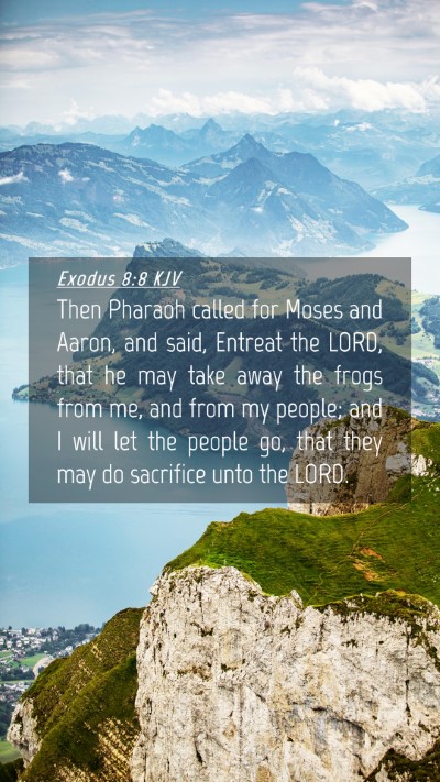 Picture 04 - Exodus 8:8 KJV Mobile Phone Wallpaper - Then Pharaoh called for Moses and Aaron, and - Mobile Bible Verse Wallpaper