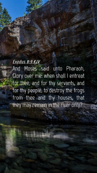 Picture 04 - Exodus 8:9 KJV Mobile Phone Wallpaper - And Moses said unto Pharaoh, Glory over me: when - Mobile Bible Verse Wallpaper