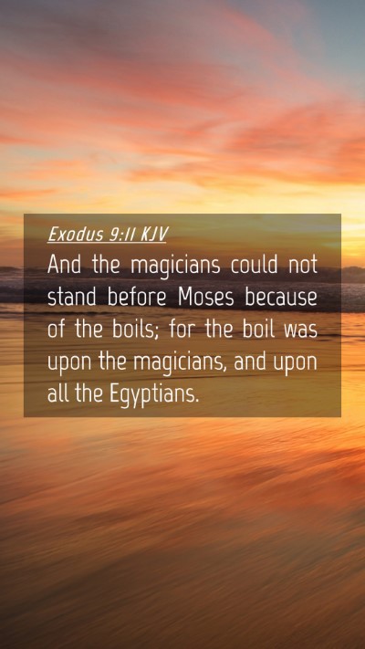 Picture 04 - Exodus 9:11 KJV Mobile Phone Wallpaper - And the magicians could not stand before Moses - Mobile Bible Verse Wallpaper