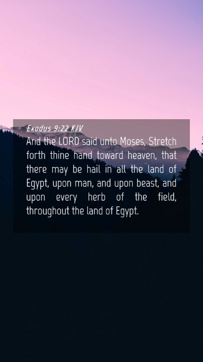 Picture 04 - Exodus 9:22 KJV Mobile Phone Wallpaper - And the LORD said unto Moses, Stretch forth thine - Mobile Bible Verse Wallpaper