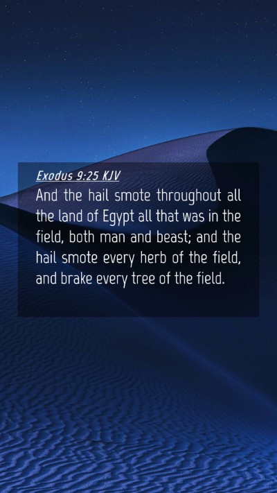 Picture 04 - Exodus 9:25 KJV Mobile Phone Wallpaper - And the hail smote throughout all the land of - Mobile Bible Verse Wallpaper