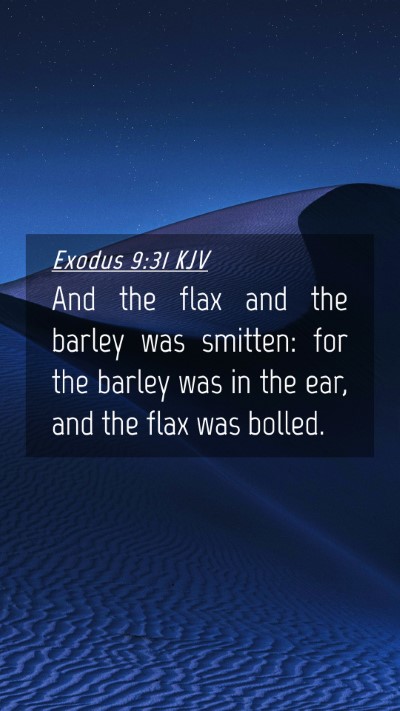 Picture 04 - Exodus 9:31 KJV Mobile Phone Wallpaper - And the flax and the barley was smitten: for the - Mobile Bible Verse Wallpaper