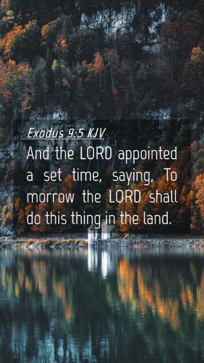 Picture 04 - Exodus 9:5 KJV Mobile Phone Wallpaper - And the LORD appointed a set time, saying, To - Mobile Bible Verse Wallpaper