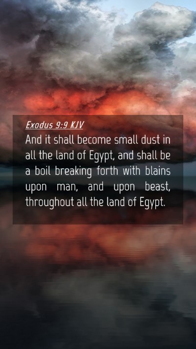 Picture 04 - Exodus 9:9 KJV Mobile Phone Wallpaper - And it shall become small dust in all the land of - Mobile Bible Verse Wallpaper