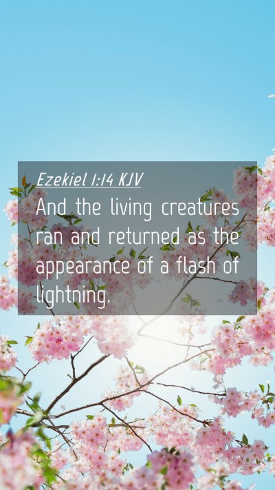 Picture 04 - Ezekiel 1:14 KJV Mobile Phone Wallpaper - And the living creatures ran and returned as the - Mobile Bible Verse Wallpaper