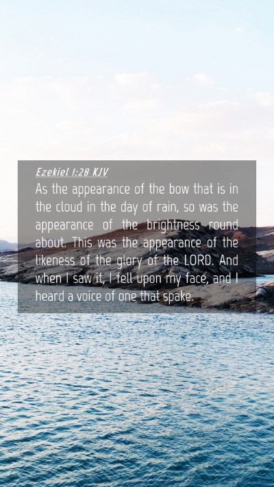 Picture 04 - Ezekiel 1:28 KJV Mobile Phone Wallpaper - As the appearance of the bow that is in the cloud - Mobile Bible Verse Wallpaper