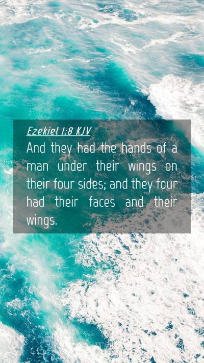 Picture 04 - Ezekiel 1:8 KJV Mobile Phone Wallpaper - And they had the hands of a man under their wings - Mobile Bible Verse Wallpaper