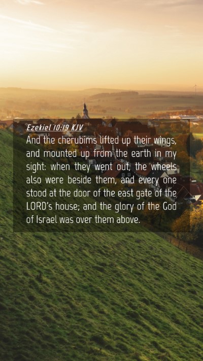 Picture 04 - Ezekiel 10:19 KJV Mobile Phone Wallpaper - And the cherubims lifted up their wings, and - Mobile Bible Verse Wallpaper