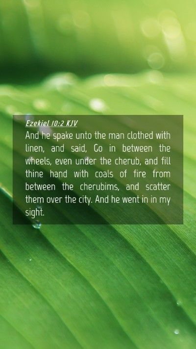 Picture 04 - Ezekiel 10:2 KJV Mobile Phone Wallpaper - And he spake unto the man clothed with linen, and - Mobile Bible Verse Wallpaper
