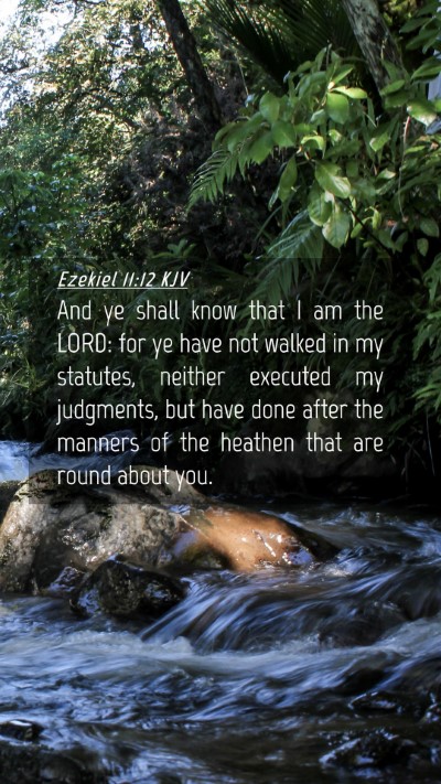 Picture 04 - Ezekiel 11:12 KJV Mobile Phone Wallpaper - And ye shall know that I am the LORD: for ye have - Mobile Bible Verse Wallpaper