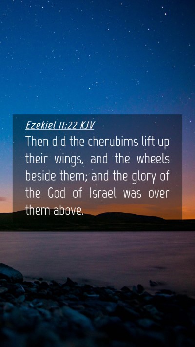 Picture 04 - Ezekiel 11:22 KJV Mobile Phone Wallpaper - Then did the cherubims lift up their wings, and - Mobile Bible Verse Wallpaper