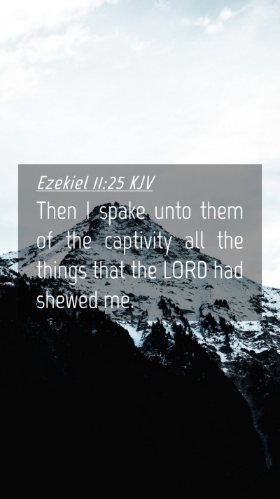 Picture 04 - Ezekiel 11:25 KJV Mobile Phone Wallpaper - Then I spake unto them of the captivity all the - Mobile Bible Verse Wallpaper