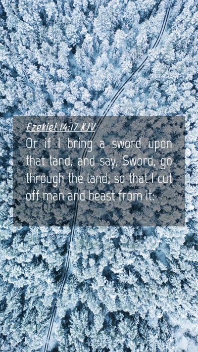 Picture 04 - Ezekiel 14:17 KJV Mobile Phone Wallpaper - Or if I bring a sword upon that land, and say, - Mobile Bible Verse Wallpaper