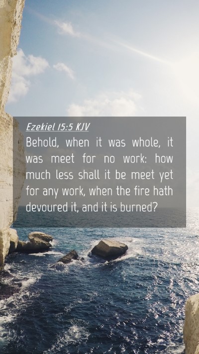 Picture 04 - Ezekiel 15:5 KJV Mobile Phone Wallpaper - Behold, when it was whole, it was meet for no - Mobile Bible Verse Wallpaper