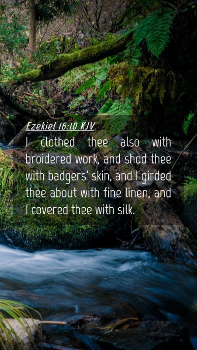 Picture 04 - Ezekiel 16:10 KJV Mobile Phone Wallpaper - I clothed thee also with broidered work, and shod - Mobile Bible Verse Wallpaper