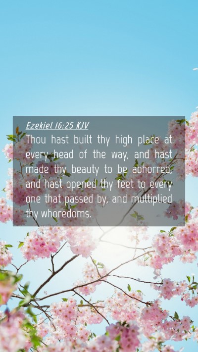 Picture 04 - Ezekiel 16:25 KJV Mobile Phone Wallpaper - Thou hast built thy high place at every head of - Mobile Bible Verse Wallpaper