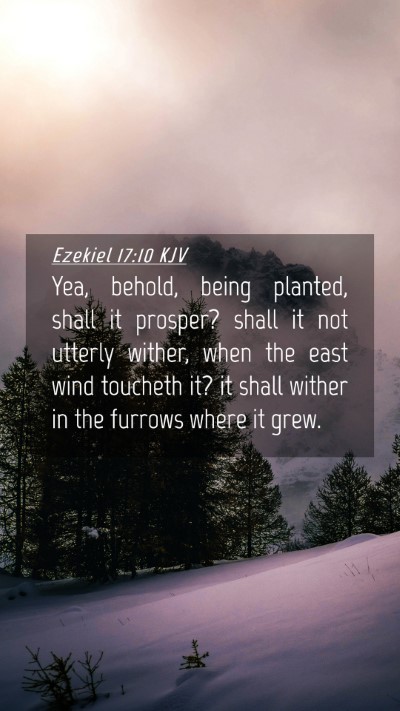 Picture 04 - Ezekiel 17:10 KJV Mobile Phone Wallpaper - Yea, behold, being planted, shall it prosper? - Mobile Bible Verse Wallpaper