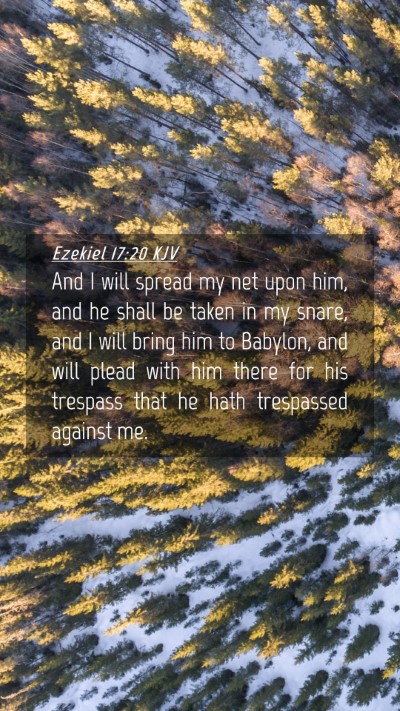 Picture 04 - Ezekiel 17:20 KJV Mobile Phone Wallpaper - And I will spread my net upon him, and he shall - Mobile Bible Verse Wallpaper