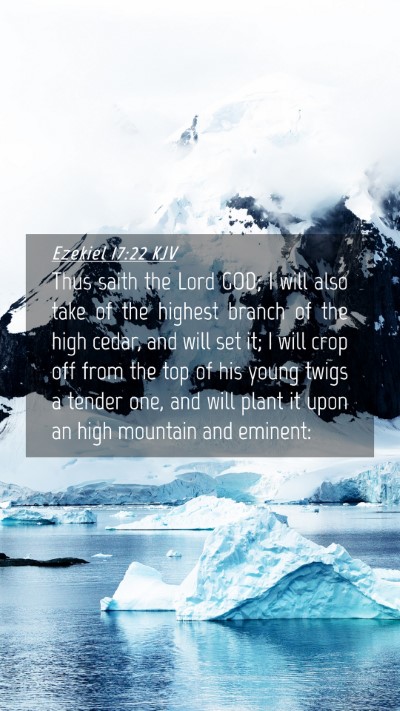 Picture 04 - Ezekiel 17:22 KJV Mobile Phone Wallpaper - Thus saith the Lord GOD; I will also take of the - Mobile Bible Verse Wallpaper