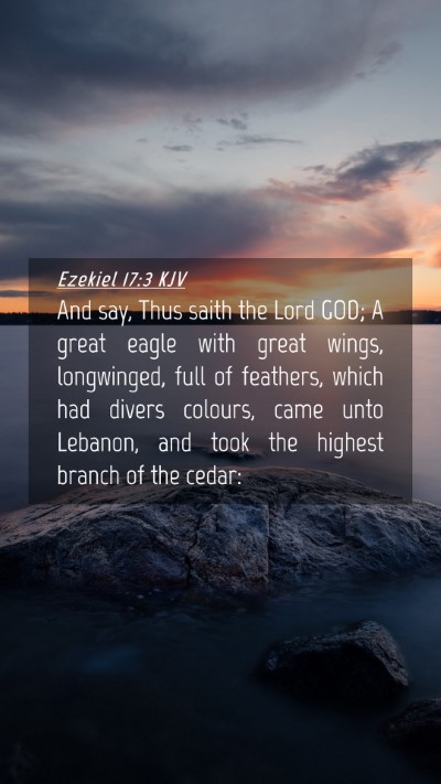 Picture 04 - Ezekiel 17:3 KJV Mobile Phone Wallpaper - And say, Thus saith the Lord GOD; A great eagle - Mobile Bible Verse Wallpaper