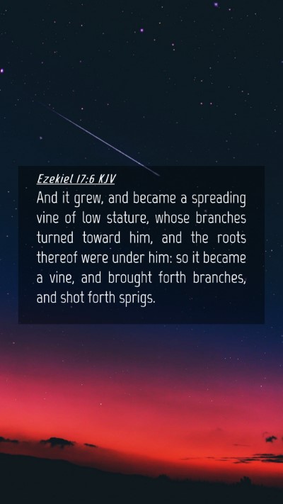 Picture 04 - Ezekiel 17:6 KJV Mobile Phone Wallpaper - And it grew, and became a spreading vine of low - Mobile Bible Verse Wallpaper