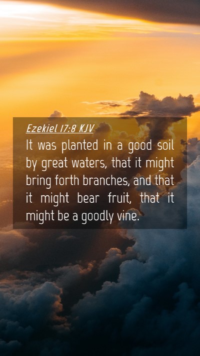 Picture 04 - Ezekiel 17:8 KJV Mobile Phone Wallpaper - It was planted in a good soil by great waters, - Mobile Bible Verse Wallpaper