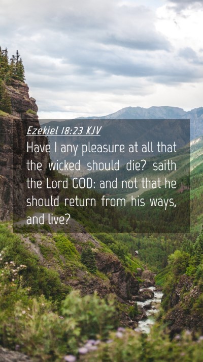 Picture 04 - Ezekiel 18:23 KJV Mobile Phone Wallpaper - Have I any pleasure at all that the wicked should - Mobile Bible Verse Wallpaper