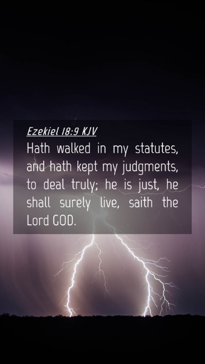 Picture 04 - Ezekiel 18:9 KJV Mobile Phone Wallpaper - Hath walked in my statutes, and hath kept my - Mobile Bible Verse Wallpaper