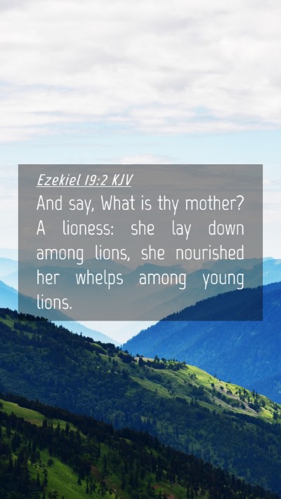 Picture 04 - Ezekiel 19:2 KJV Mobile Phone Wallpaper - And say, What is thy mother? A lioness: she lay - Mobile Bible Verse Wallpaper