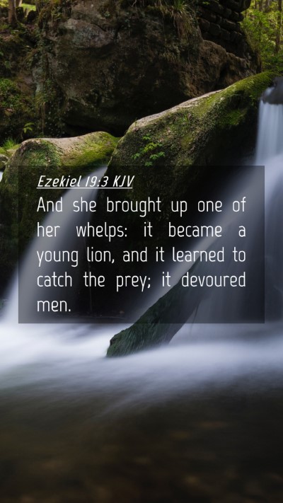 Picture 04 - Ezekiel 19:3 KJV Mobile Phone Wallpaper - And she brought up one of her whelps: it became a - Mobile Bible Verse Wallpaper
