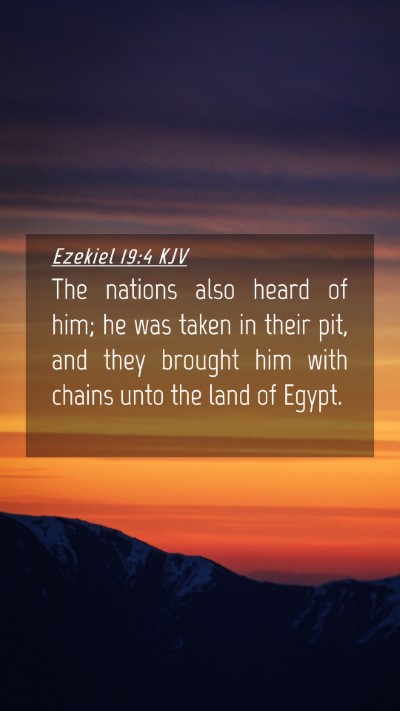 Picture 04 - Ezekiel 19:4 KJV Mobile Phone Wallpaper - The nations also heard of him; he was taken in - Mobile Bible Verse Wallpaper