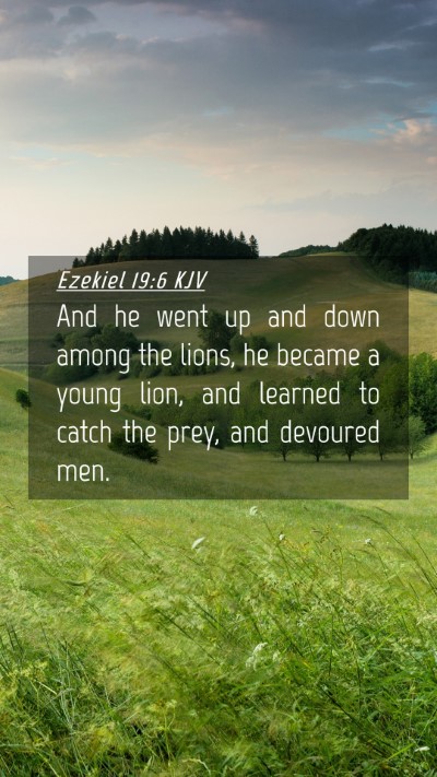 Picture 04 - Ezekiel 19:6 KJV Mobile Phone Wallpaper - And he went up and down among the lions, he - Mobile Bible Verse Wallpaper