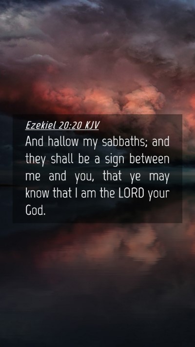 Picture 04 - Ezekiel 20:20 KJV Mobile Phone Wallpaper - And hallow my sabbaths; and they shall be a sign - Mobile Bible Verse Wallpaper
